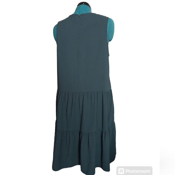 IGWT DRESS - Picture 3 of 9